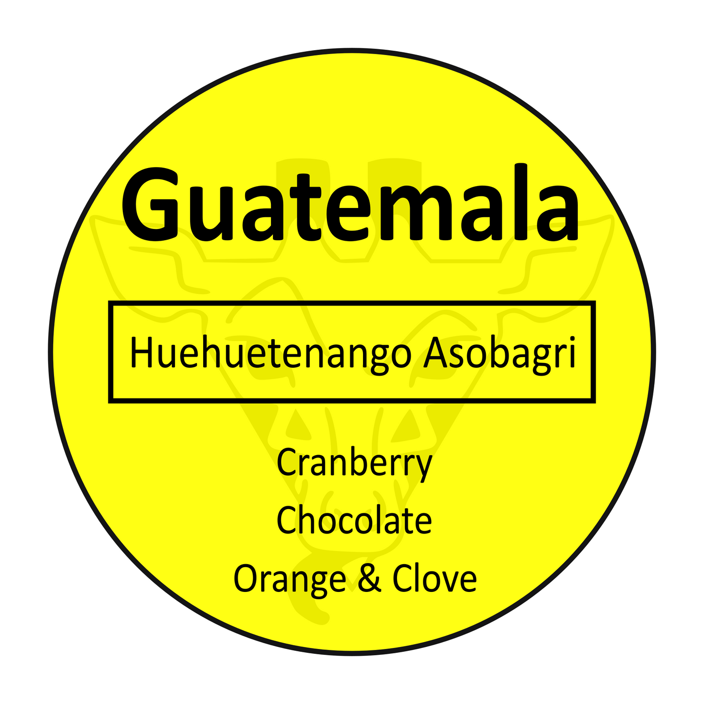 Guatemala Huehuetenango Asobagri