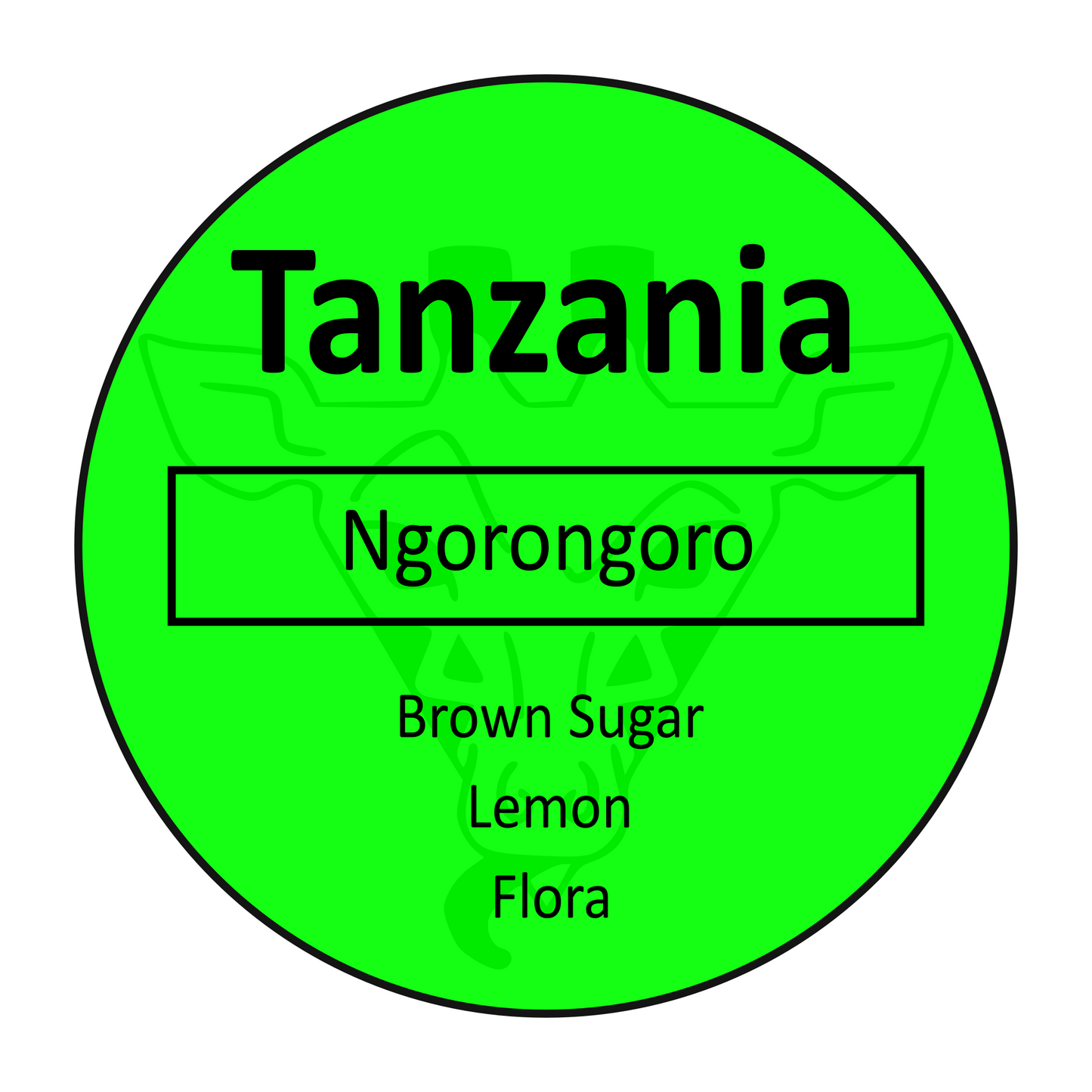 Tanzania Ngorongoro
